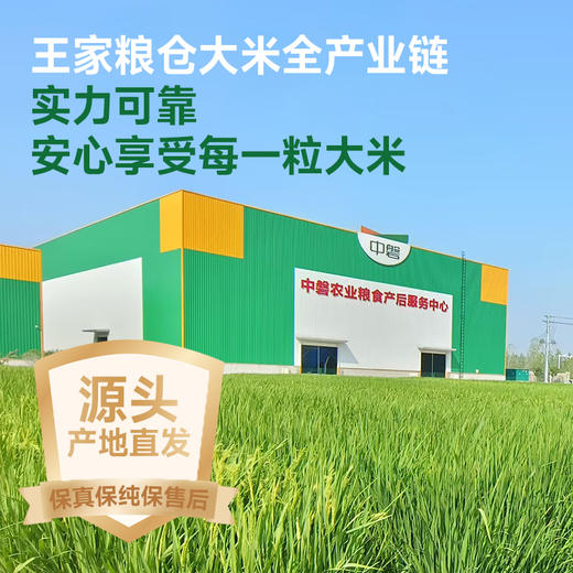 【严选】荆楚粮油 中磐王家粮仓江汉大米孝感香米鄂香二号晚稻米5kg/袋（厂家直发） 商品图3