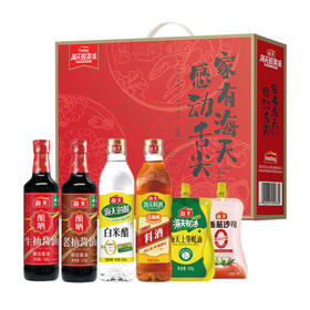 海天感动舌尖-调味礼盒-2610款【年货】KY