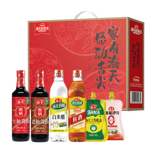 海天感动舌尖-调味礼盒-2610款【年货】KY 商品图0