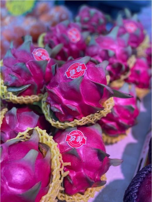 巨无霸佳农红心火龙果一个 商品图2
