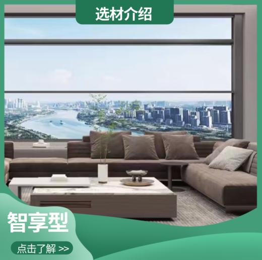 「智享型」产品介绍——仅做产品讲解 非购买链接 商品图0