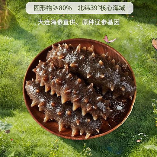 鑫玉龙有机即食海参440g袋装（15～20头） 商品图1