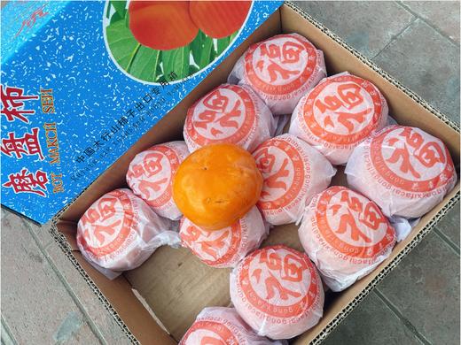 冻柿子一箱 商品图2