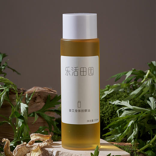 姜艾身体按摩油（乐活田园，中通或圆通快递）| 公平贸易*Ginger mugwort leaf body massage oil| Fair Trade 商品图2