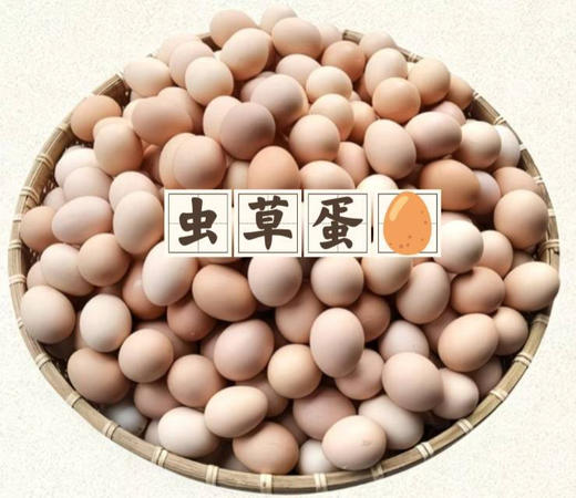 虫草蛋10枚装 商品图1