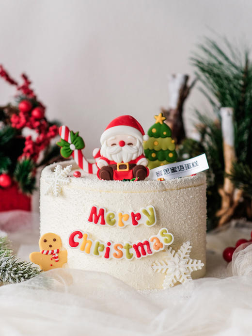 定制款蛋糕 - 圣诞颂歌 商品图0