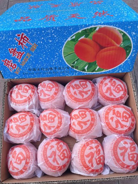 冻柿子一箱 商品图0