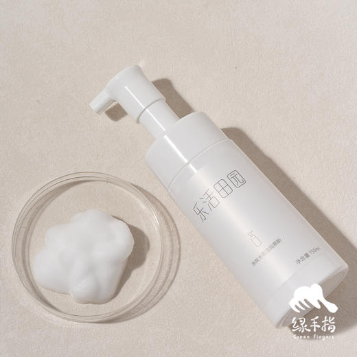 洁面慕斯/洗面奶（乐活田园，中通或圆通快递）| 公平贸易*Facial cleansing mousse| Fair Trade 商品图2