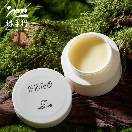 山茶护足膏（乐活田园，中通或圆通快递）| 公平贸易*Camellia Foot Protection Cream| Fair Trade 商品图0
