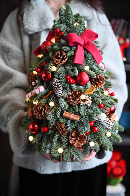 VBEINGS 北欧丹麦诺贝松 圣诞树 圣诞装饰diy迷你诺贝松圣诞树桌面摆件（纯手工制作） 商品图1