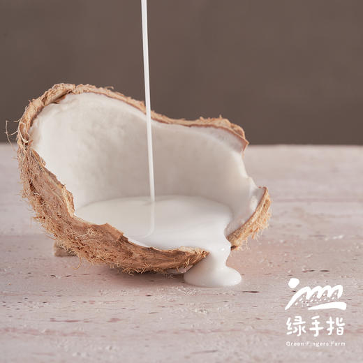 椰子护发素（乐活田园，中通或圆通快递）| 公平贸易*Coconut hair conditioner| Fair Trade 商品图2