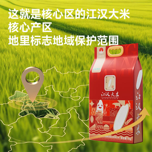 【严选】荆楚粮油 中磐王家粮仓江汉大米孝感香米鄂香二号晚稻米5kg/袋（厂家直发） 商品图1