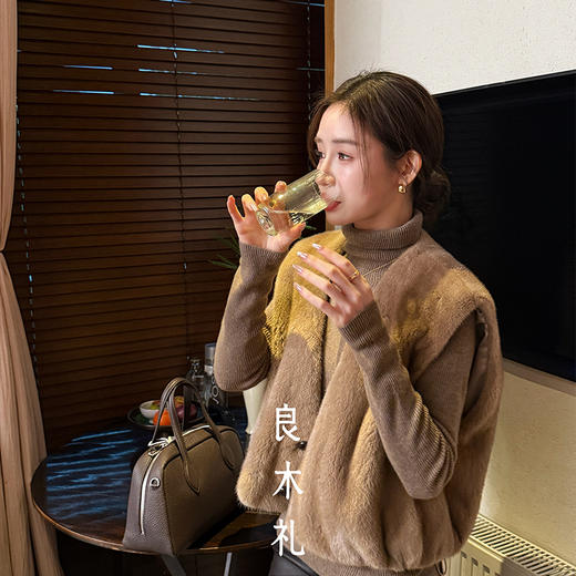 【预售7天】良木礼水貂马甲（D251103627F） 商品图3