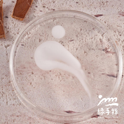 椰子护发素（乐活田园，中通或圆通快递）| 公平贸易*Coconut hair conditioner| Fair Trade 商品图1