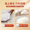 邻家饭香 东北大米 长粒香米 5kg 袋 真空双层包装 LJFX86-C 商品缩略图8