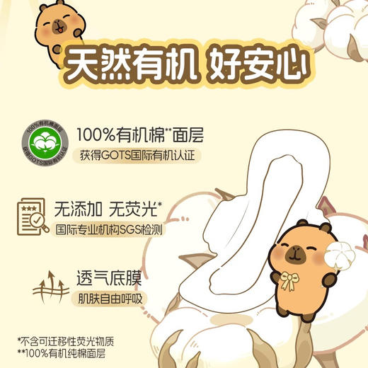 怡丽蚕丝有机棉柔卫生巾夜用290mm 商品图2