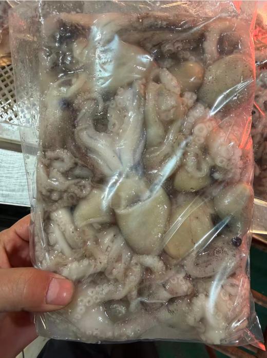 短腿八爪鱼一袋 商品图1