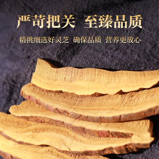 康美灵芝50g/盒 赤芝正宗安徽产地 灵芝切片煲汤煮水泡茶滋补养生 商品图5