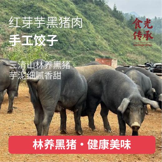 红芽芋黑猪肉手工饺子 240g/袋 商品图2