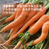 生态胡萝卜（云南，韵达）| 合作生产*Eco carrot | Partner Production 商品缩略图1