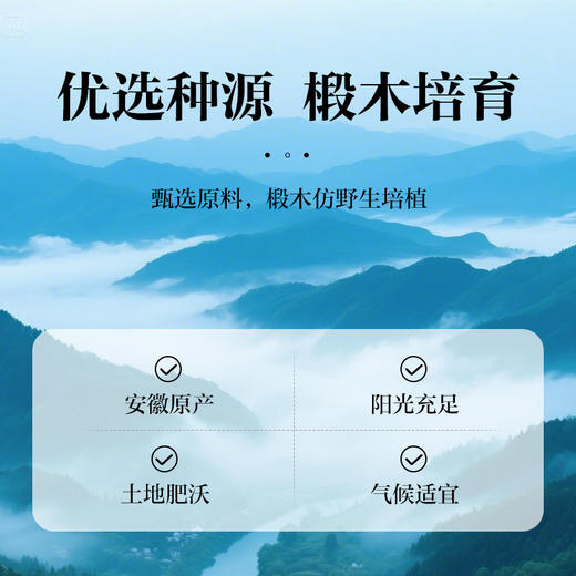 康美灵芝50g/盒 赤芝正宗安徽产地 灵芝切片煲汤煮水泡茶滋补养生 商品图1