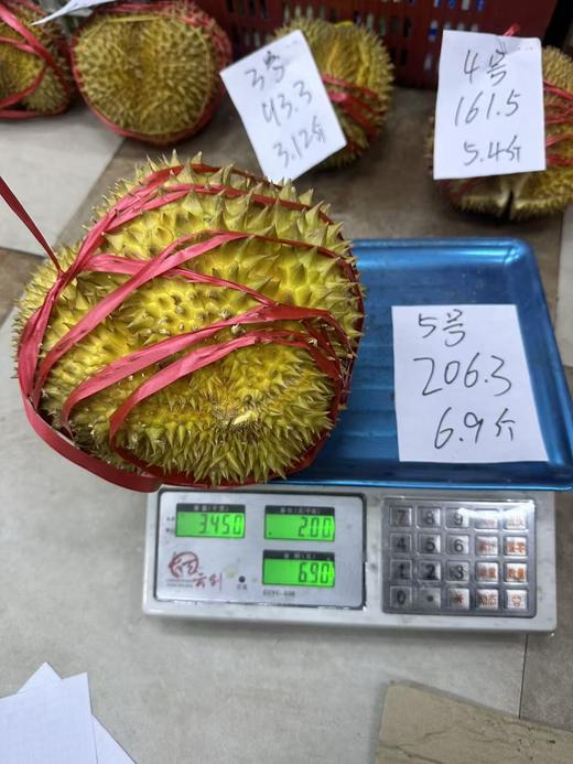 金枕榴莲一个 商品图4