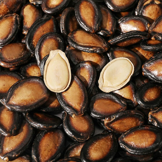 【陕西】蒲臻善黑瓜子 商品图1