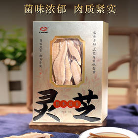 康美灵芝50g/盒 赤芝正宗安徽产地 灵芝切片煲汤煮水泡茶滋补养生