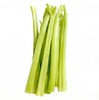 有机西芹杆500g 商品缩略图2