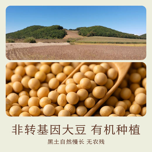南食召 有机大豆油 商品图2
