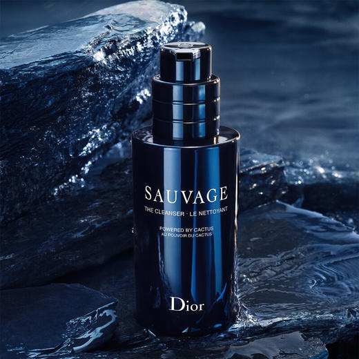 DIOR迪奥 旷野男士洁面 洗面奶清洁保湿 送男生男友老公生日礼物 商品图0