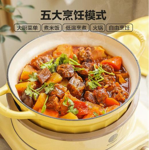 北鼎二代IH多功能电磁炉 L655 商品图1