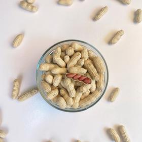 安心有味.龙岩湿烤红衣花生