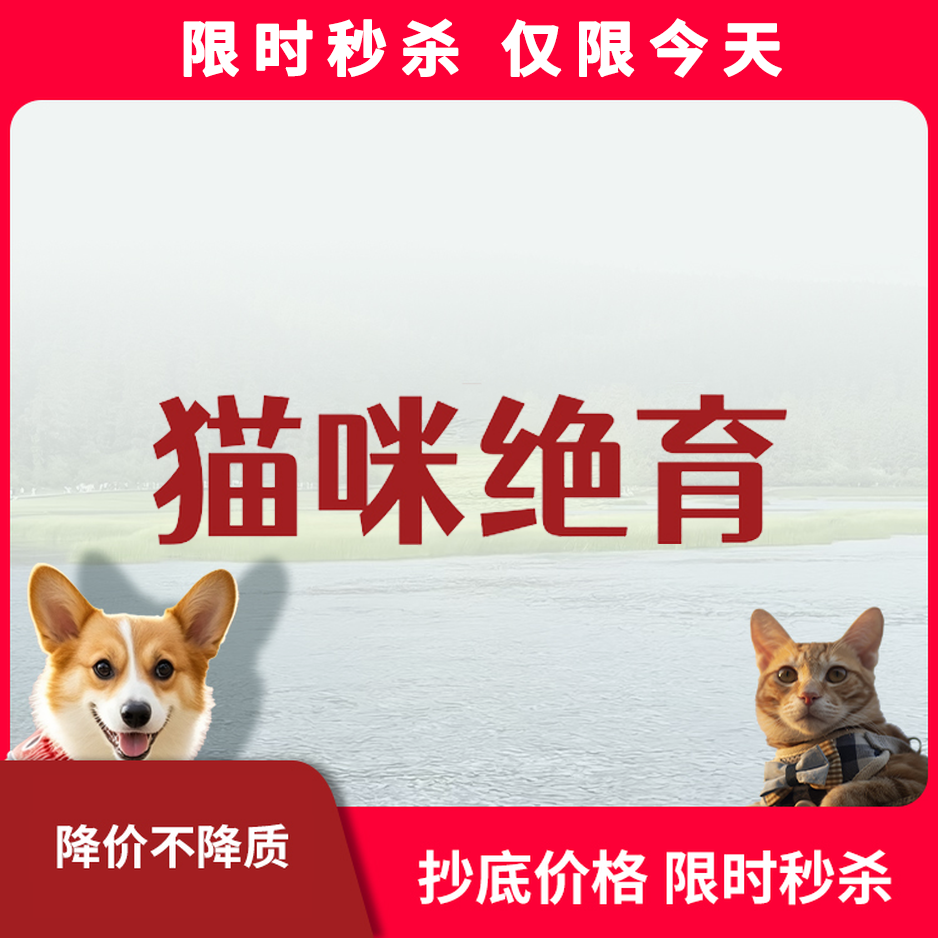 限时秒杀丨猫咪绝育套餐