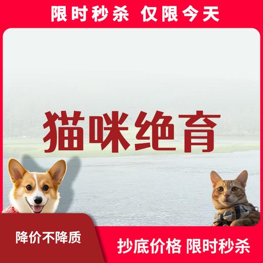 限时秒杀丨猫咪绝育套餐 商品图0