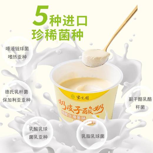 紫光园 奶皮子酸奶原味120g/杯 商品图5