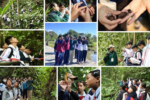 彩云之南西双版纳亲子成长研学营读者 商品图1