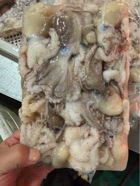 短腿八爪鱼一袋