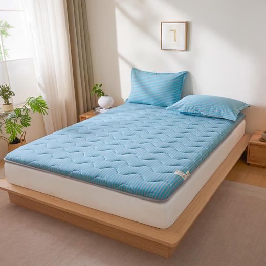 自然醒A类全棉色织水洗棉棉花三明治床垫LN 商品图7