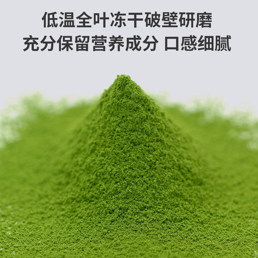 【陕西】蒲臻善羽衣甘蓝奇亚籽谷物粉500g 商品图3