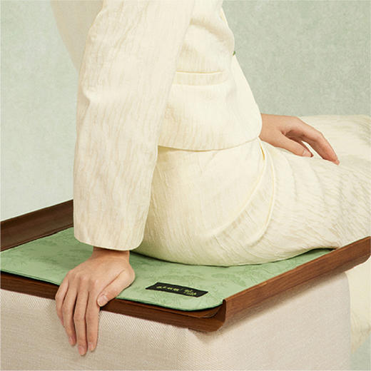 左点养生娘娘艾灸热敷坐垫 商品图0