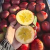 昭通「糖心苹果」1kg 商品缩略图0