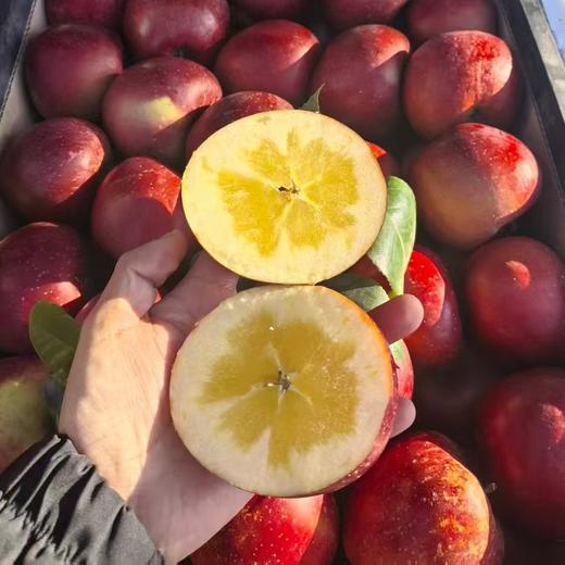 昭通「糖心苹果」1kg 商品图0