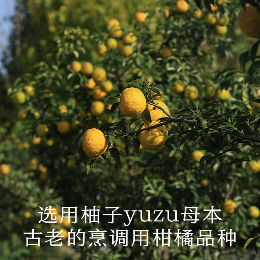 南食召 本味柚子酱 商品图3