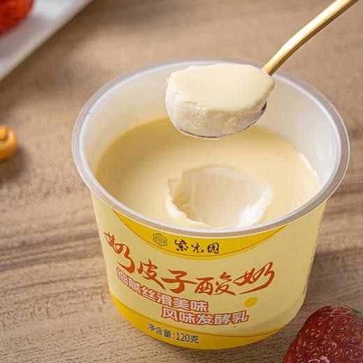 紫光园 奶皮子酸奶原味120g/杯 商品图3