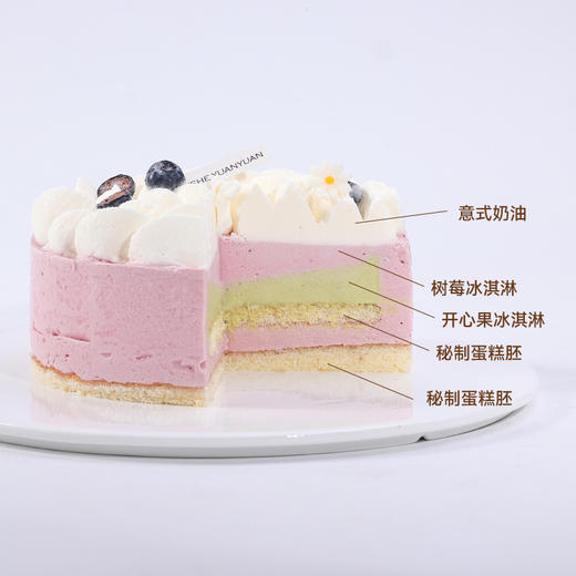 树莓开心果冰淇淋蛋糕 商品图1