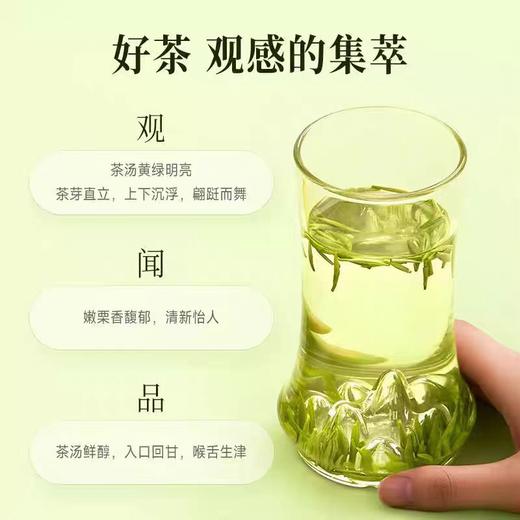 竹叶青·品味-120g【年货】ZY 商品图4