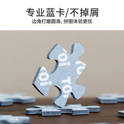 TOi图益-线条小狗-小狗浪漫烟花-1000片 商品图2