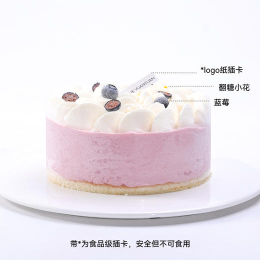 树莓开心果冰淇淋蛋糕 商品图2