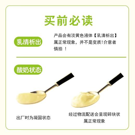 紫光园 奶皮子酸奶原味120g/杯 商品图1